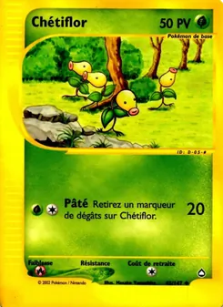 Chétiflor
