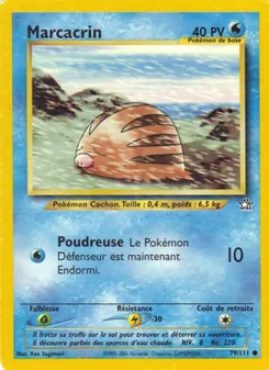 Marcacrin