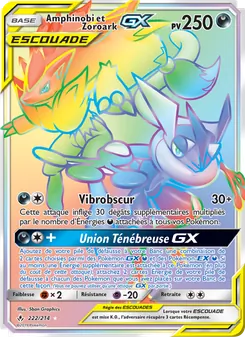 Amphinobi et Zoroark GX