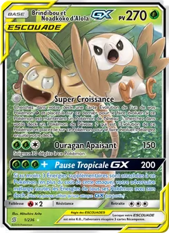 Brindibou et Noadkoko d’Alola GX