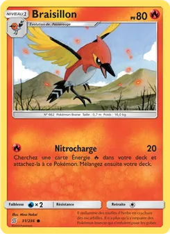 Braisillon