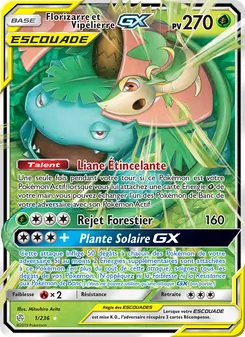 Florizarre et Vipélierre GX
