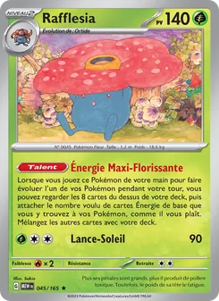 Rafflesia