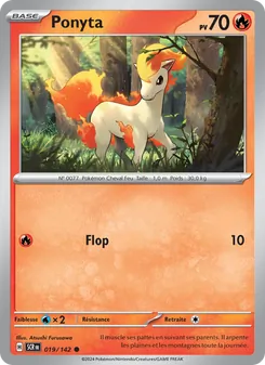 Ponyta