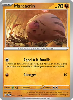 Marcacrin