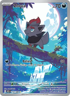 Zorua