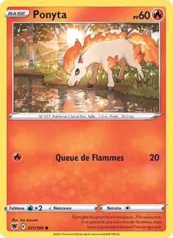 Ponyta